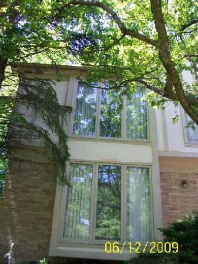 Replacing-Wall-Panels-Suffering-Water-Damage-From-Overgrown-Trees-Too-Close-To-The-House-ParR1-103-Picture-3