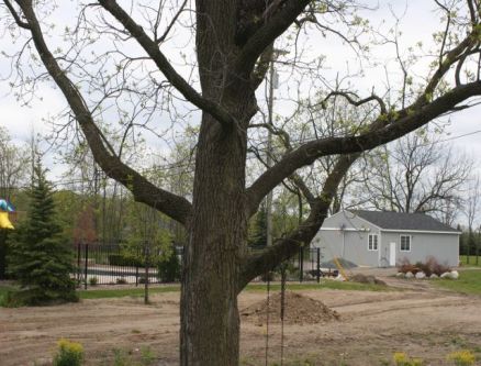 Rebuild-Fire-Damaged-House-In-Washington-Township-Michigan-Picture-10